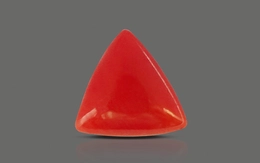 Red Coral - TC 5056 (Origin - Italy) Limited - Quality